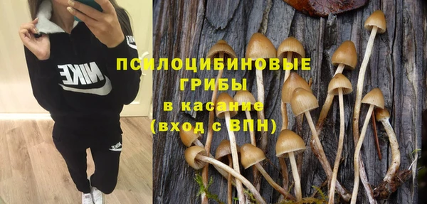 молекула духа Михайловка